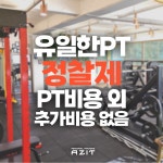 피티 아지트 PT AZIT