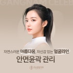 강남셀럽의원