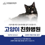 모루 동물의료센터