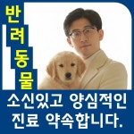 S클래스동물병원