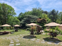 데미재