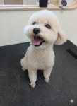 예쁘댕