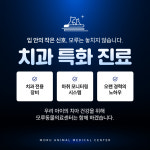 모루 동물의료센터