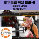 복싱히어로 의정부역점