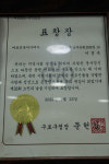 진황헤어뉴스 | 김선영헤어뉴스