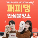 대전 강아지분양 고양이분양 퍼피댕 안심분양소 대전본점