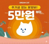 수원고양이분양 드림캣 안심분양센터