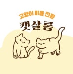 고양이미용 캣살롱 부산영도점