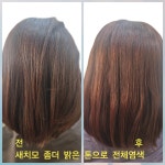 친환경 엘샤론코리아 개금점 | JY친환경머리염색엘샤론 공주점