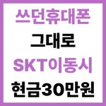 SK텔레콤 PS&M 포항이동점