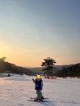 오크밸리 스키타니 렌탈샵
