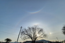 로그인편의점 안성고삼점