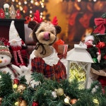 털로덮인친구들 애견유치원 & 애견호텔 수원매교점