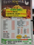 장윤정의 치킨아트