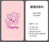 퍼피데이 애견미용실
