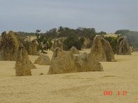 아리랑월드투어