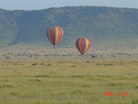 아리랑월드투어