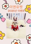 미앤유펫 강아지고양이 원주점