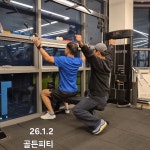 골든피티