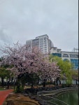 썸원공인중개사사무소