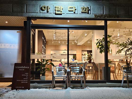 아란다화 사진