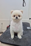 오몽오몽