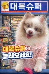 대복슈퍼