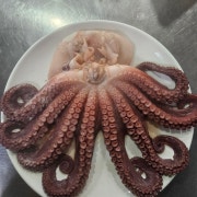 동해안 피문어(숙회)