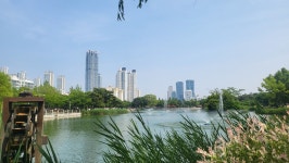 송도센스공인중개사사무소