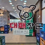 대패장군