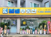 일등공인중개사사무소