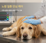 보드미동물병원