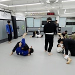안성주짓수