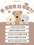플랜멍 강아지분양 포항점
