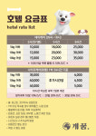 개꿈호텔