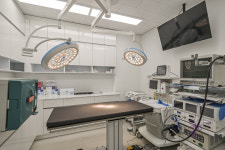 카인드동물병원