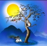 수미재