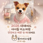 복이네도그살롱