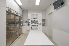 카인드동물병원