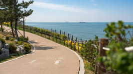 연오랑파크풀빌라