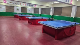 핑클탁구장
