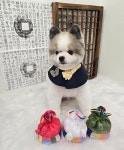 멍몽s