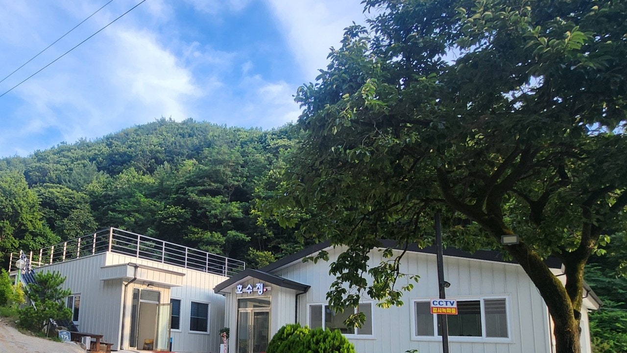 호수정