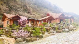 하늘숲황토펜션