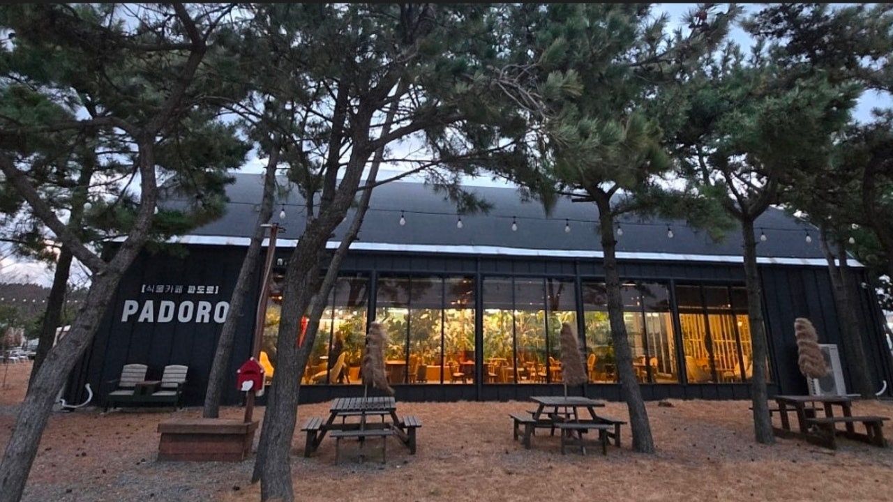카페 파도로