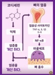 태후사랑(월곡점)미용실 | 큐사랑 소피아헤어스토리