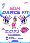 슬림댄스핏