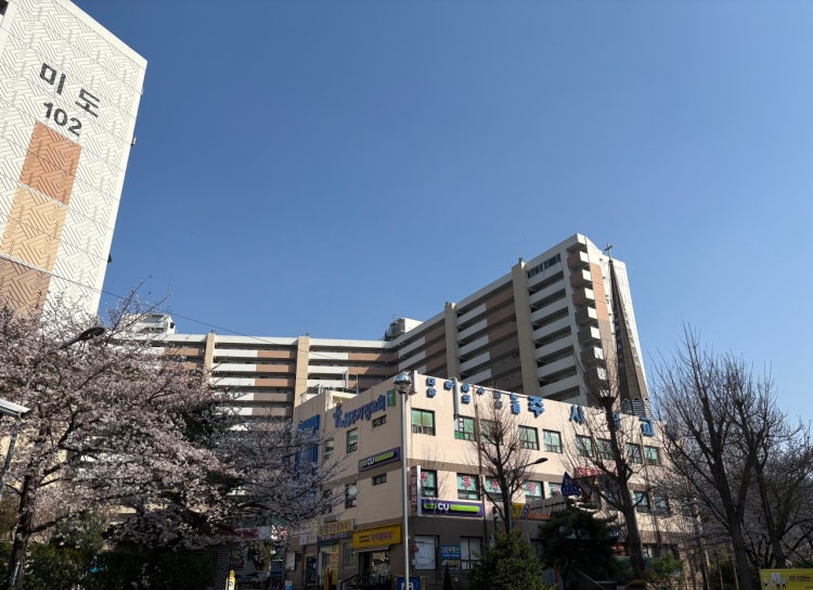 주사랑교회 사진 5