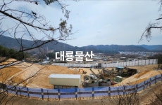 대룡물산