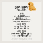 스타반려견교육센터